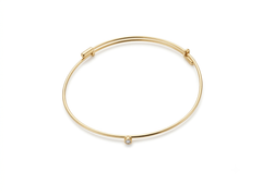 18K Yellow Gold .05 CTW Natural Diamond Adjustable Bracelet