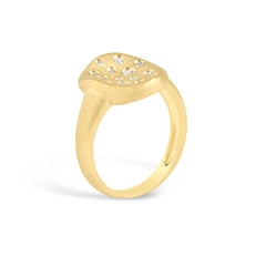 Diamond Scatter Artisan Ring in Yellow Gold