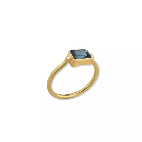 Marcel Roelofs Vario Ring Element Aquamarine - 18K Yellow Gold