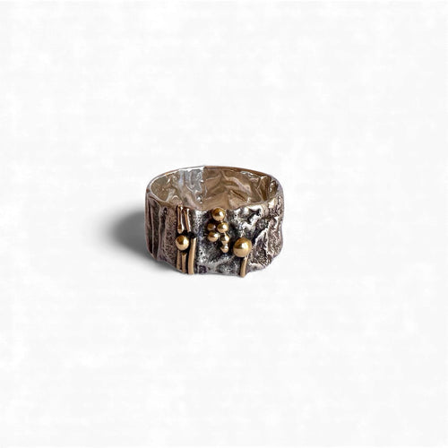 Oxidized Silver Ring with 18K Gold Accents