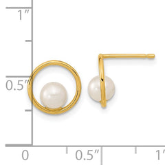 Open Circle 14K Gold  Freshwater Pearl Post Earrings