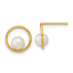 Open Circle 14K Gold  Freshwater Pearl Post Earrings