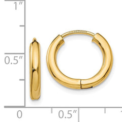 14K Gold Polished Hoop Earrings
