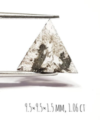 1.06 CT Natural Salt and Pepper Slice Triangle Diamond
