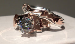 Camelot Band - MISSING PICTURE - Lireille